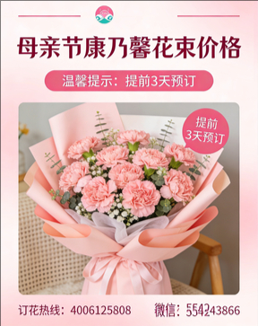 泉州安溪县花店母亲节康乃馨花束