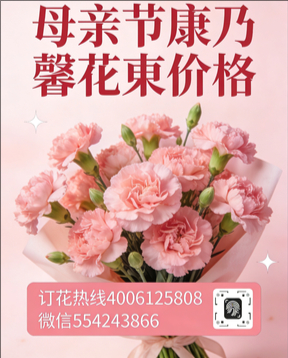 泉州安溪县花店母亲节康乃馨花束